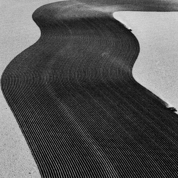 Black and white abstract image of parallel lines on a textured surface.