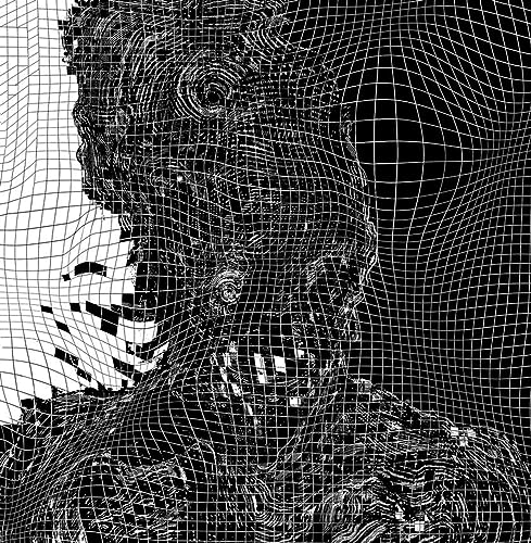 Black and white abstract portrait distorted by a grid pattern.