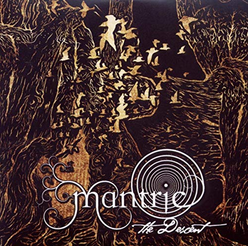 CD cover art: golden birds fly amidst textured, dark tree branches.
