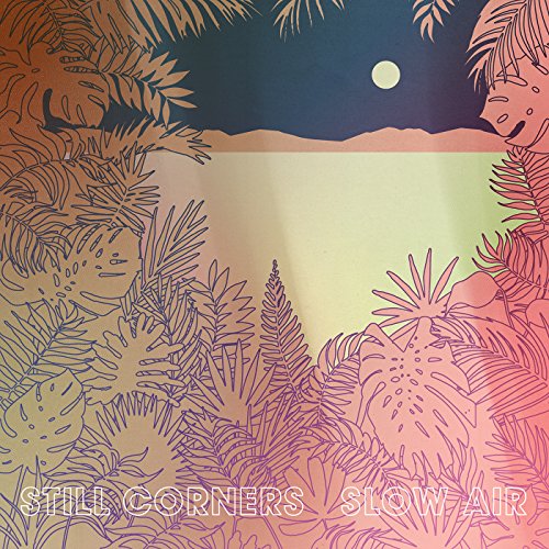 CD cover with line-art tropical foliage and a pale moonlit sky.