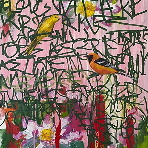 Painted album cover featuring two colorful birds amidst floral and scribbled designs.