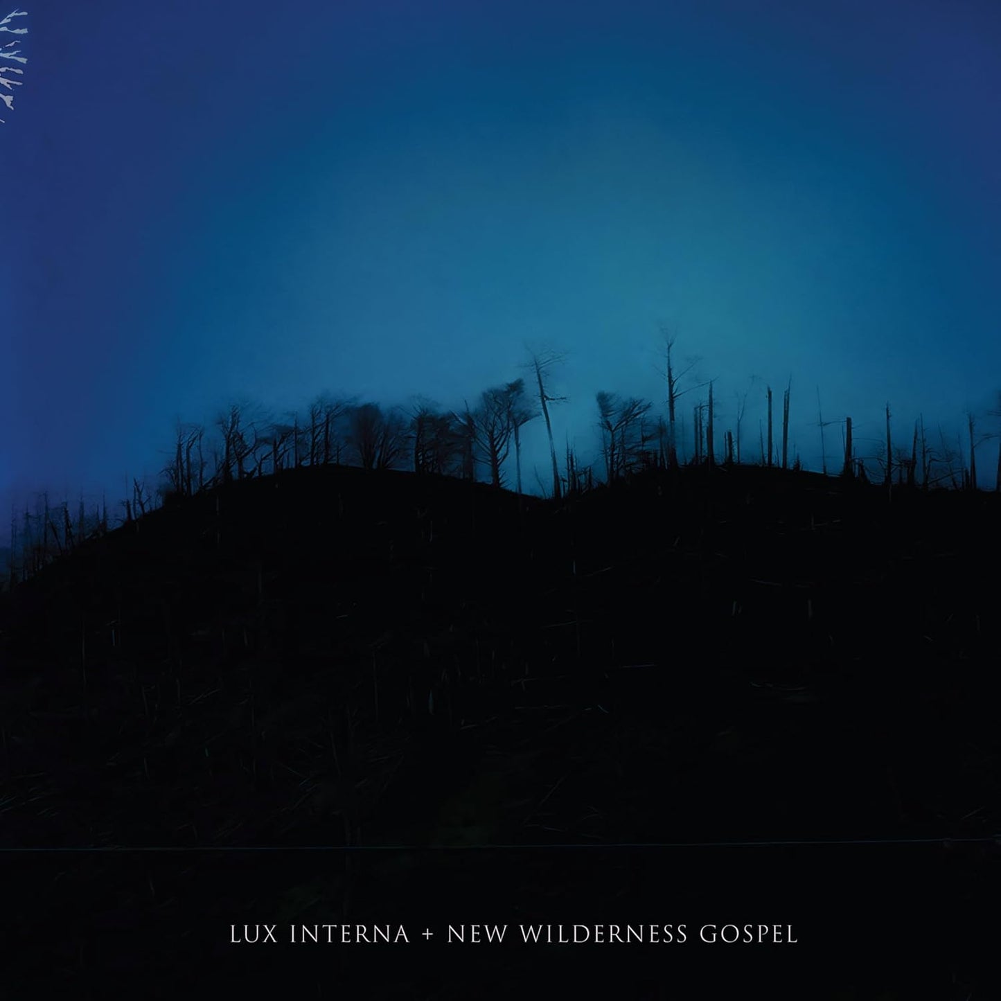 Dark blue album cover with silhouetted trees and text at bottom.