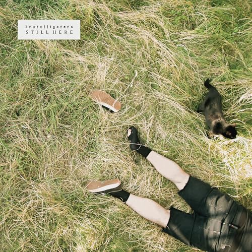 Album cover: legs, cat, and shoe in tall, dry grass.