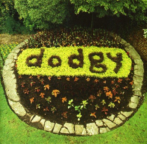 Dodgy" spelled out in yellow flowers within a stone-edged garden bed.