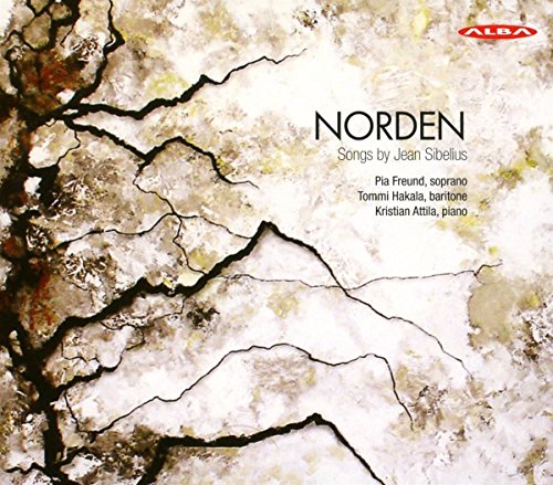 CD cover for “Norden” by Jean Sibelius, cracked earth texture.