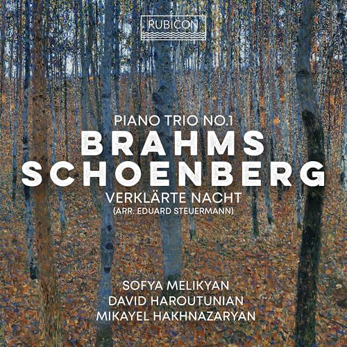CD cover featuring a forest scene with text: Brahms, Schoenbery, Melikyan.