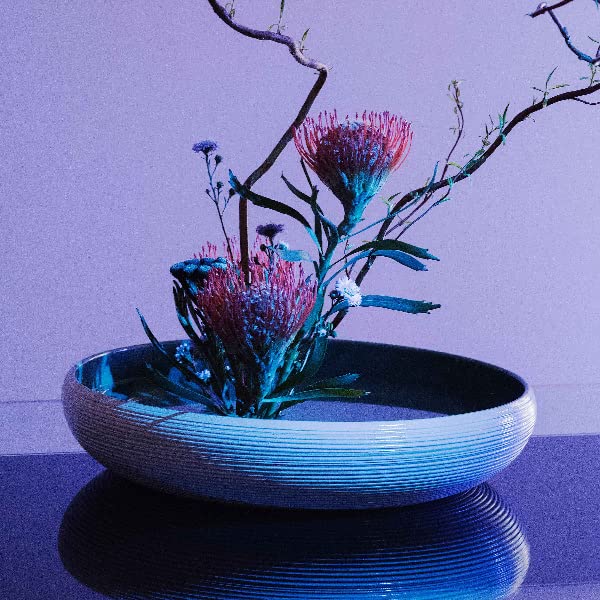 Floral arrangement with red and blue-toned proteas in a dark bowl.
