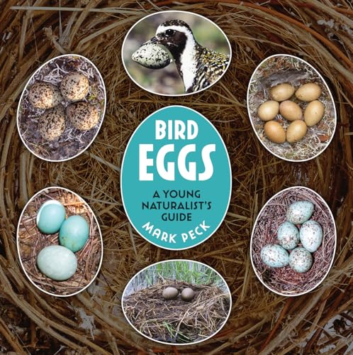 Bird Eggs : A Young Naturalist's Guide