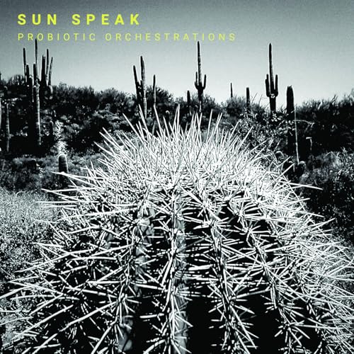 CD cover with a black and white desert landscape featuring cacti.