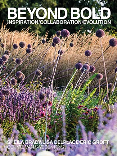 Beyond Bold: Inspiration, Collaboration, Evolution