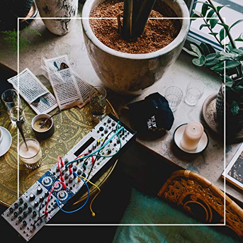 Vinyl record, synthesizer, and plants on a table with drinks and books.