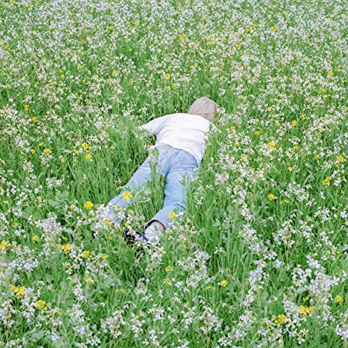 Person lying in a field of dense green grass and small white flowers.