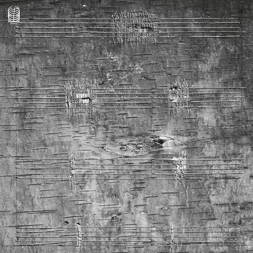 Black and white abstract album cover with linear and cage-like forms.