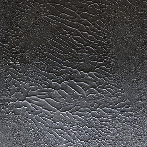 Vinyl cover with dark, textured, cracked paint surface and small white text on left.