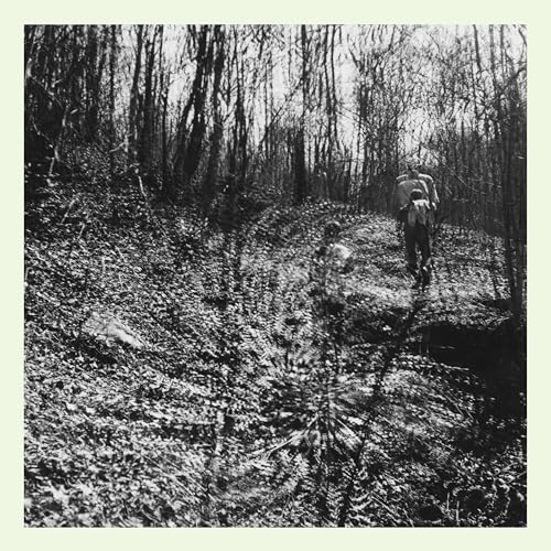 Black and white photo of a person walking into a dense forest.
