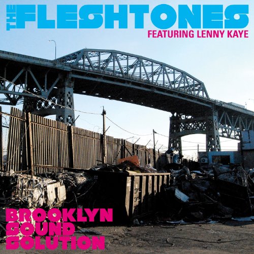 CD cover for The Fleshtones’ “Brooklyn Sound Solution” with a bridge.