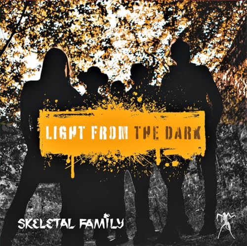 Vinyl record of “Skeletal Family - Light From The Dark” album, dark cover art.