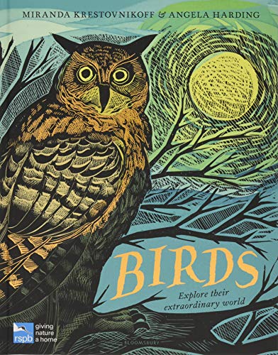 RSPB Birds: Explore their extraordinary world