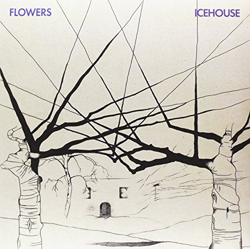 Icehouse’s “Flowers” vinyl album cover: cracked tree branches over a building.