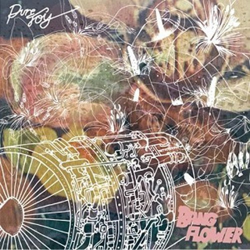CD cover with floral line art and the text "Bang Flower" in pink.