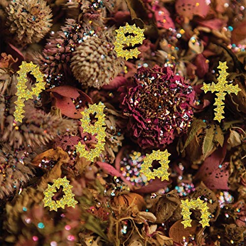 Album cover for Pwr Bttm's "Pageant" with glitter and dried flowers.