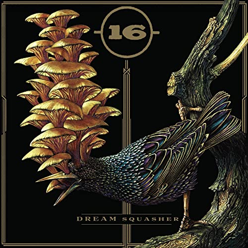 CD cover with golden mushrooms, a bird, and the title "Dream Squasher".