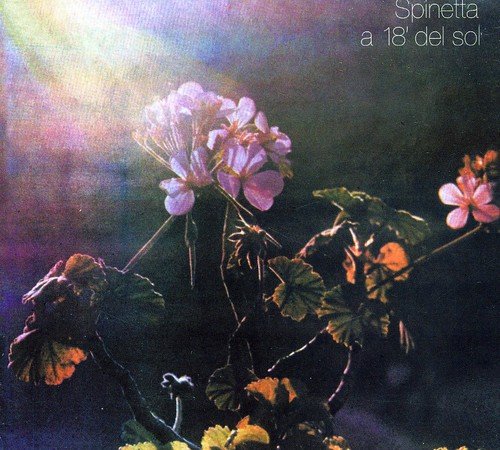 Album cover for “A 18’ Del Sol” featuring pink and orange flowers.