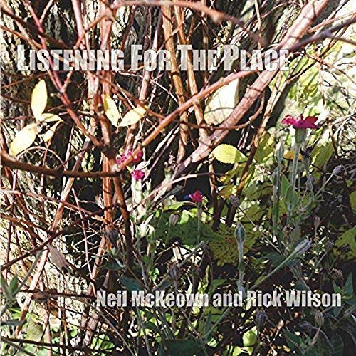 CD cover with tangled branches, leaves, and small pink flowers.