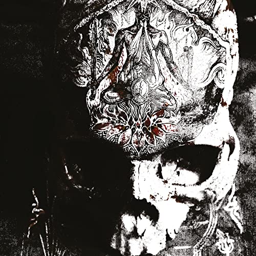 Black and white album cover with distorted, organic, skull-like imagery.