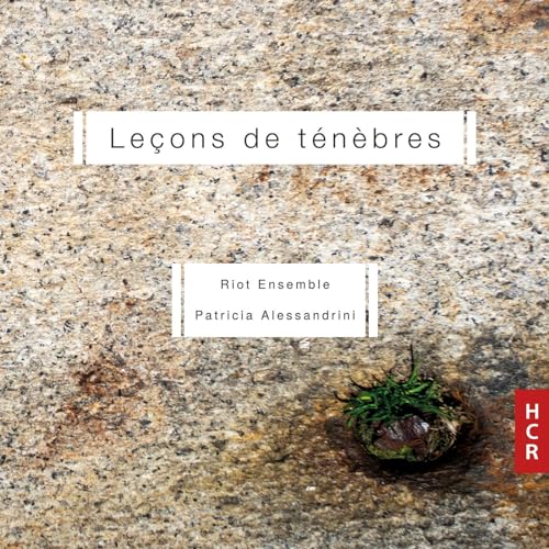CD cover with textured stone background, plant, and white text.