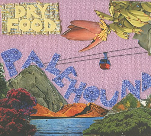 Palehound's "Dry Food" CD cover: collage of landscapes, flowers, and a cable car.