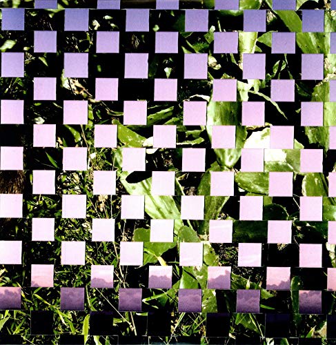 Mosaic of landscape photos in purple and green tones.