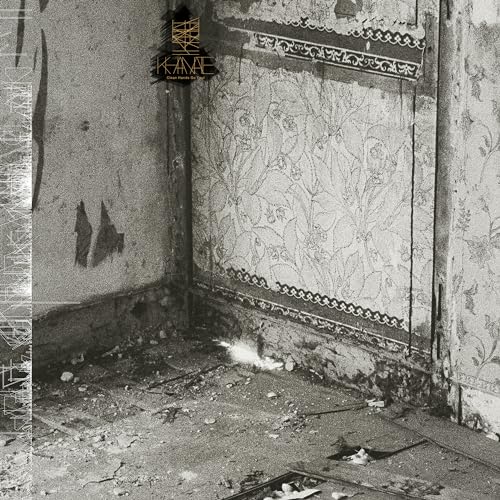Black and white photo of a decaying room corner with floral wallpaper.
