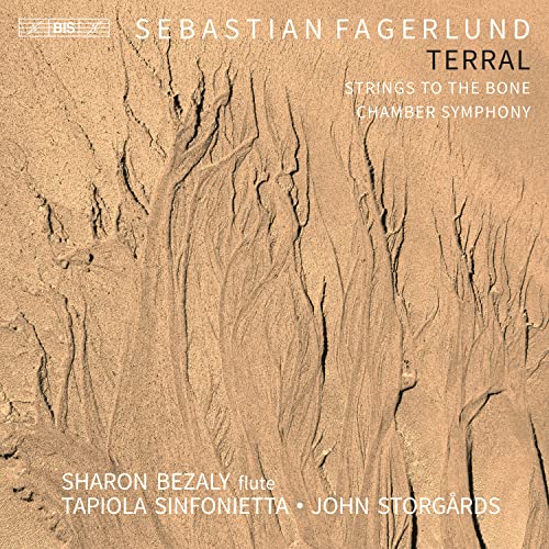 CD cover: abstract sand texture with composer, artist, and orchestra names.