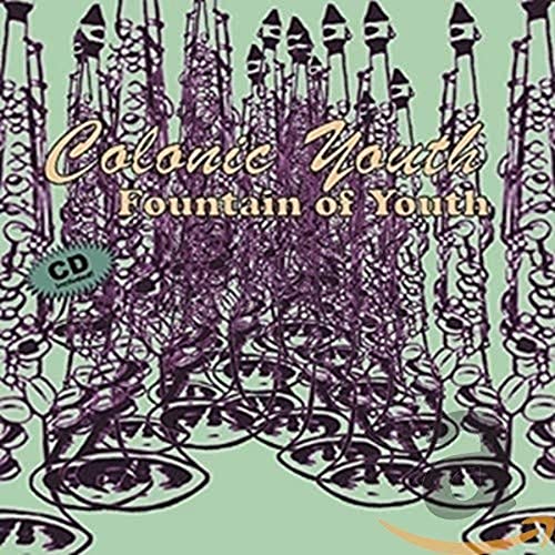 CD cover for “Colonic Youth - Fountain Of Youth” with abstract purple design.