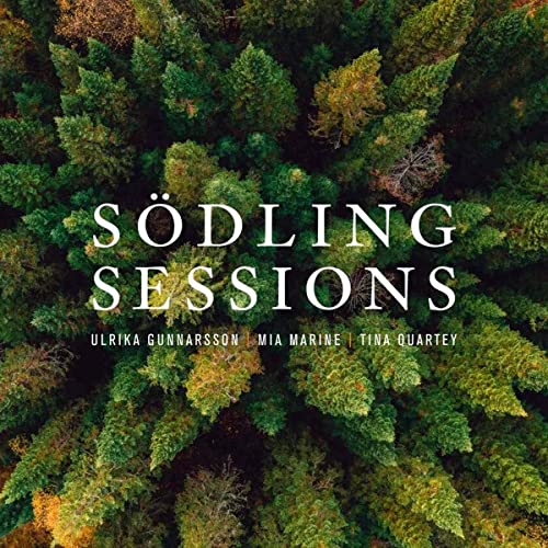 CD cover for "Södling Sessions" with a forest canopy image.