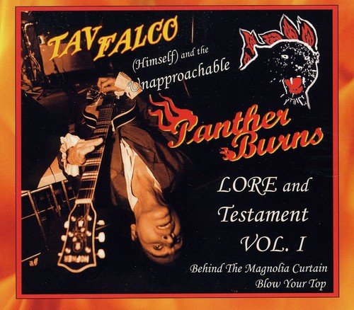 CD cover featuring a musician with a guitar and a panther graphic.