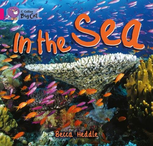 In the Sea: Band 01B/Pink B (Collins Big Cat)