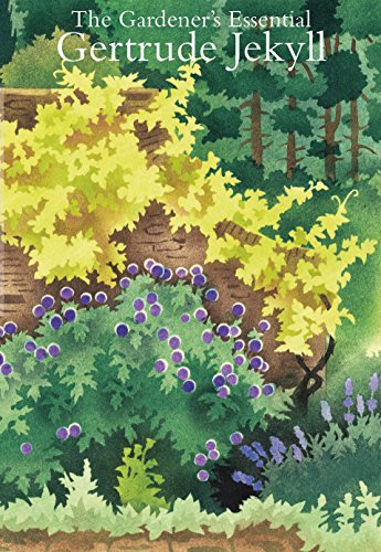 Book cover with a painted garden scene of yellow and purple flowers.
