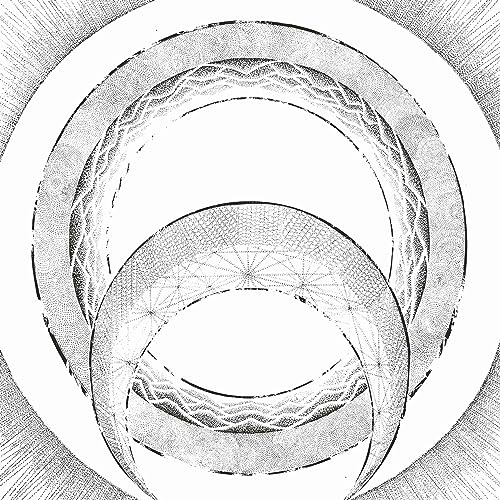 Black and white abstract vinyl record artwork with concentric circles.