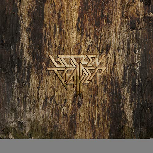 CD cover for Blitzen Trapper’s “Furr” with logo on woodgrain.