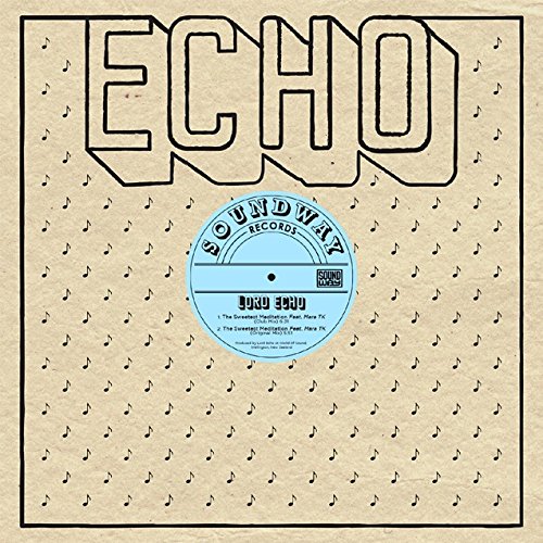 Vinyl record with a blue center label and "ECHO" text on a patterned sleeve.