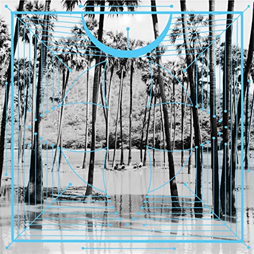 Four Tet "Pink" vinyl album cover: palm trees with blue geometric lines.