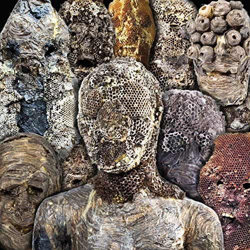 Album cover featuring multiple textured, metallic, honeycomb-like sculpted heads.