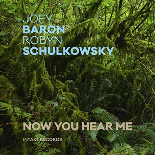 CD cover for “Now You Hear Me” by Baron, Joey & Schulkowsky, forest scene.