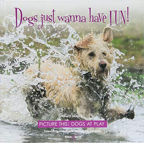 Dogs Just Wanna Have Fun! : Picture This: Dogs at Play