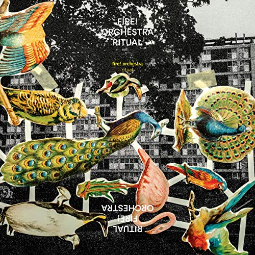 CD cover for Fire! Orchestra’s “Ritual” featuring collage of birds and buildings.