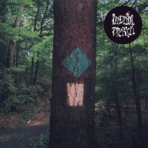Vinyl record cover: forest scene with a tree and painted markings.