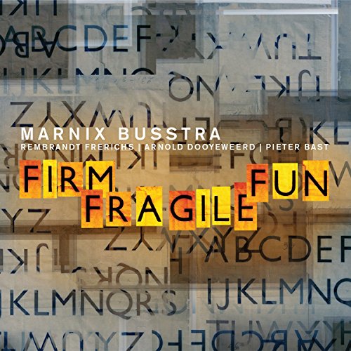 CD cover with text "Firm Fragile Fun" over a lettered background.