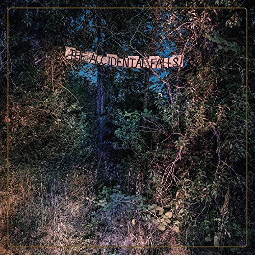 CD cover: forest scene with a banner reading “The Accidental Falls”.